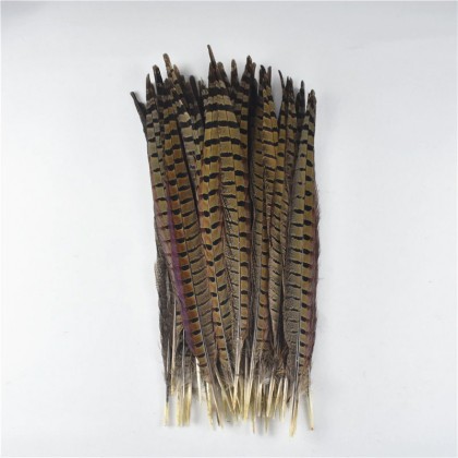 Bažantí ocasní pero 30-35 cm