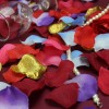 Plátky růží, textilní dekorace, barva růžová, balení 1000 ks